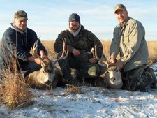 Mule deer hunting in Montana with a hunting guide. Redbone Outfitting is an experienced Montana Hunting Outfitting business. 